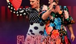 Flamenco Night Wolfenbüttel