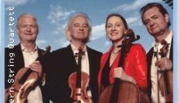 Modern String Quartett